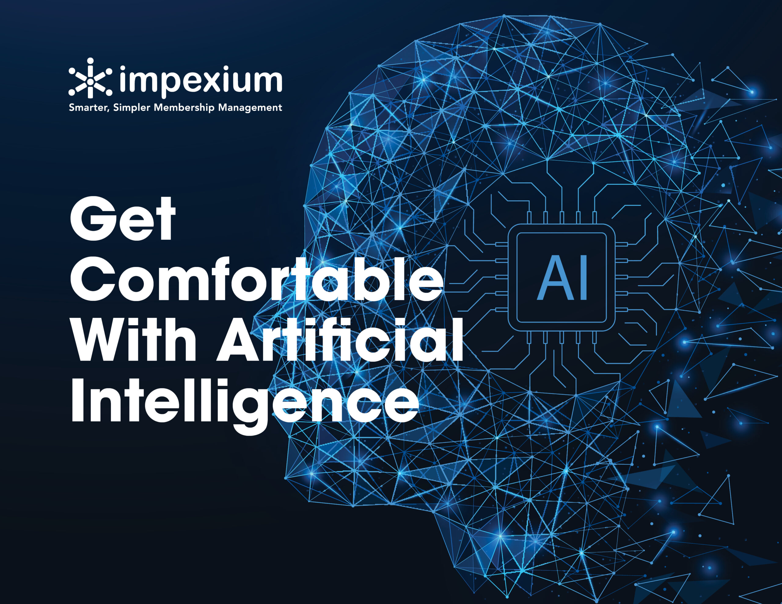 How to Get Comfortable with Artificial Intelligence